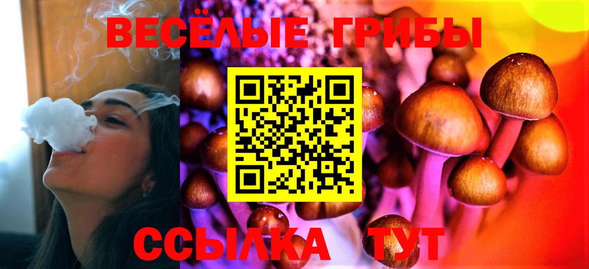 Псилоцибиновые грибы Psilocybe  Вход с VPN  Галлюциногенные грибы ЛСД  Майский 