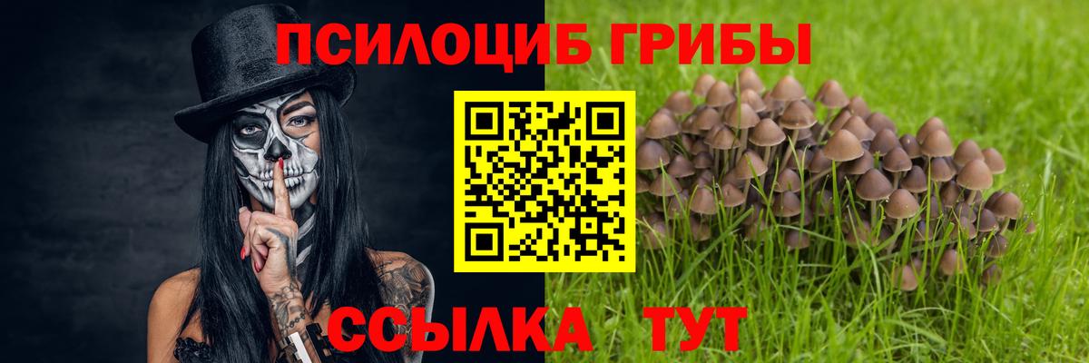Псилоцибиновые грибы Magic Shrooms Майский